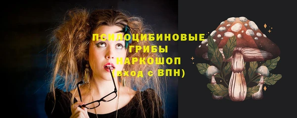СК Горняк