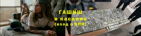 сатива Горнозаводск