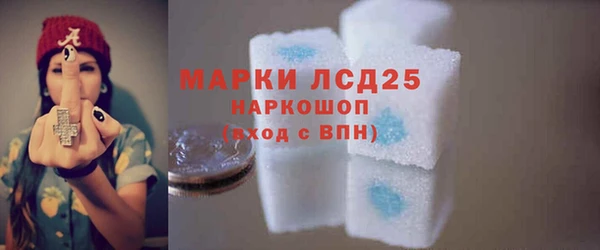 СК Горняк