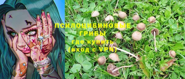 бутират Горно-Алтайск