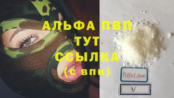 сатива Горнозаводск