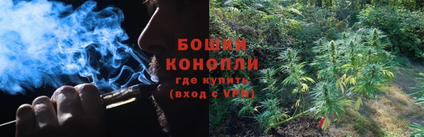 СК Горняк
