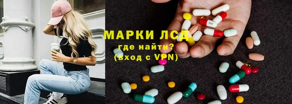 сатива Горнозаводск